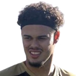 Pedro Henrique Carvalho Silva