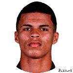 David Nascimento da Silva
