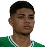 Alvaro Henrico Paiva