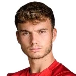 Dominik Schwizer