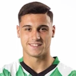 Aldin Jakupovic