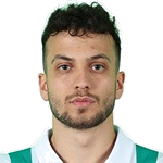 Ali Şahin Yılmaz