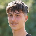Viktor Dzodic