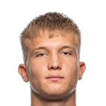 Denis Videnovic