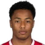 Dillon Hoogewerf