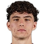 Dominik Nisandzic