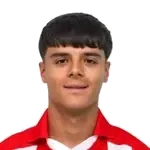 Luka Zarić