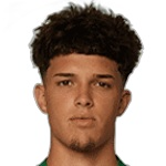 Flavio Goncalves