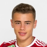 Erik Kusnyír