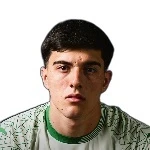 Arthur Rampineli Borghi