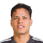 M. Silva