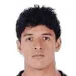 Rohan Rajagopal