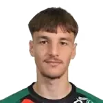 Nermin Mesic