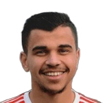 Mohamed Nehari
