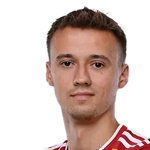 Dominik Banach