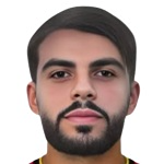 Y. Soltani