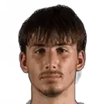 Vuk Draškić