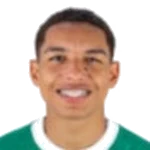 Yan Henrique