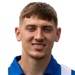 Joe Grey