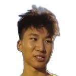 Z. Zhang