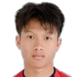 Zixian Wei