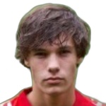 Thijs van Leeuwen