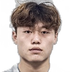 Wang Yifan