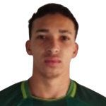 Wylhamys Araujo