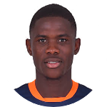 Wilfried Ndollo Bille