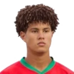 Taha Majni