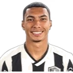 Vinicius Lima Serafim