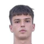 Nikola Radnić