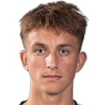 N. Rogowski
