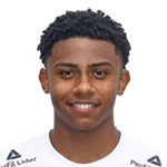 Nicolas Araujo