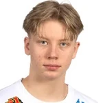 Arvid Bergvik