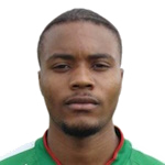 Waldimison