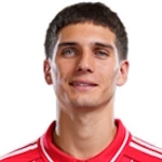 Nicolás Domínguez