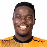 Ndamulelo Maphangule