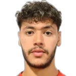 Ali Nader Mahmoud