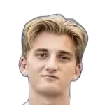 Hjalte Froholdt