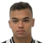 Vinicius Menezes Uchella