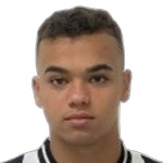Vinicius Menezes Uchella