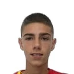 Petar Anicic