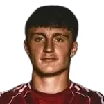 Lan Drevenšek