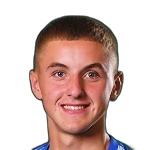 N. Domchak
