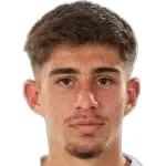 Adriano Manole