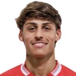 Diogo Fernandes Marezi