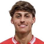 Diogo Fernandes Marezi