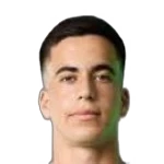 Amit Arazi