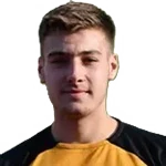 Joe Ellison
